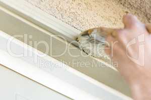 Professional Painter Cutting In With Brush to Paint Garage Door