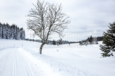 Winter scenery with snowy street