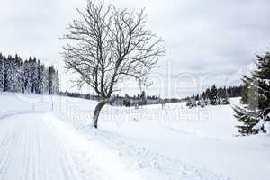 Winter scenery with snowy street