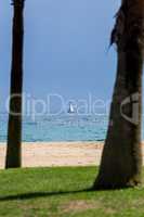 Spanish beach in Catalonia with palms trunk and sailboat
