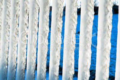 ice, winter, frost, ice, floe, cold, icicles, fence, fence, railing