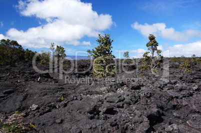 Erstarrte Lava auf Hawaii, USA