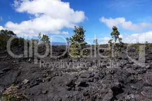 Erstarrte Lava auf Hawaii, USA