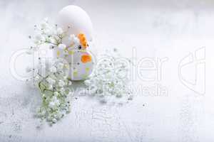 Egg with Gypsophila on a white background.