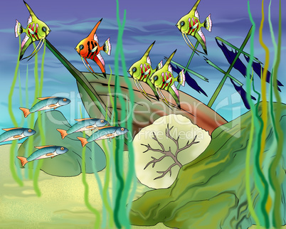 Coral Fishes Underwater Illustration