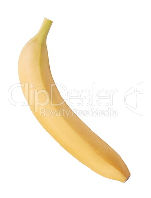 raw Yellow Banana Isolated