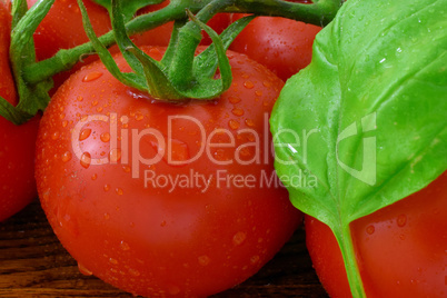 Tomaten mit Basilikum