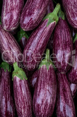 Eggplants closeup.