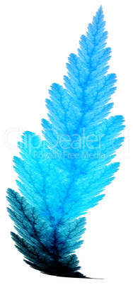 Frost leaf