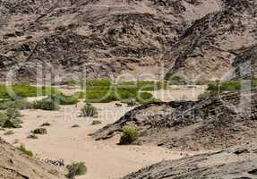 Elefantenherde in Namibia Afrika