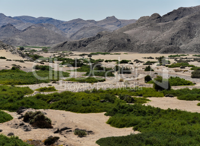 Etosha-Nationalpark Berg Landschaft in Namibia Südafrika