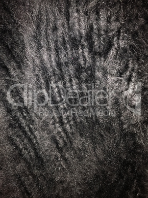 Texture from angora wool