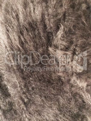 Angora Wool background