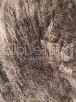 Angora Wool background