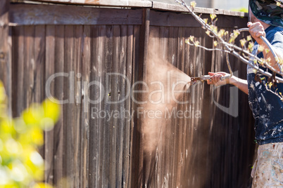 Professional Painter Spraying Yard Fence with Stain