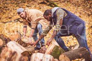 Young men near dry stumps in forest