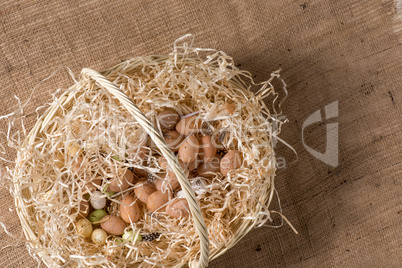 Quail eggs in basket