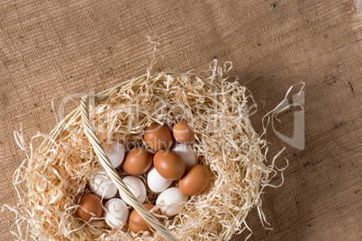 Chicken eggs in basket