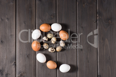 Chicken and quail eggs