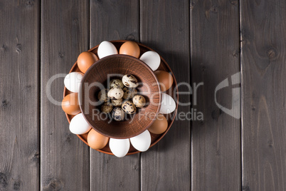 Chicken and quail eggs