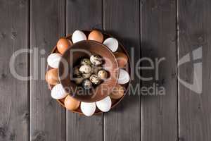 Chicken and quail eggs