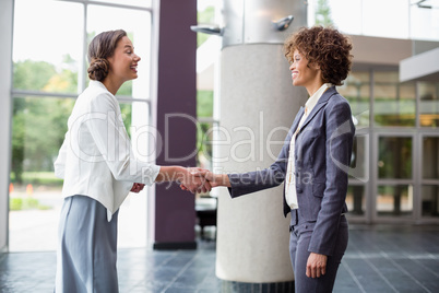 Business executives shaking hands with each other