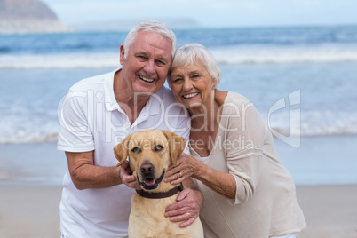 Senior couple playing with their dog on the beach