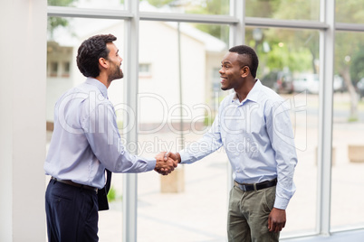 Business executives shaking hands with each other