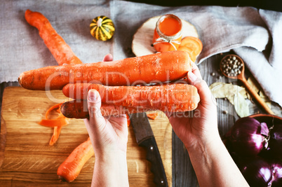 Two female human hand holding three large orange carrot
