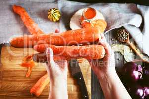 Two female human hand holding three large orange carrot