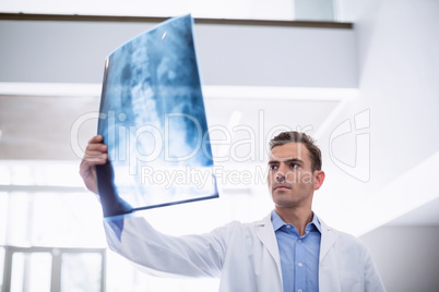 Doctor examining x-ray of patient