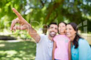 Family pointing and looking up in park