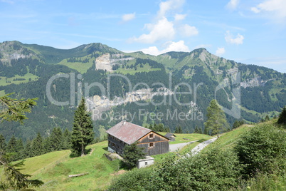 Möslalm bei Mellau