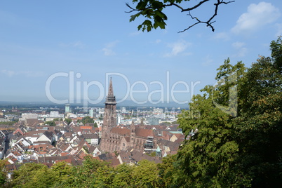 Freiburg mit Münster