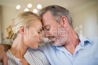 Close-up of couple romancing face to face