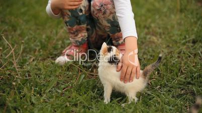 Little girl petting a little white cat in the grass