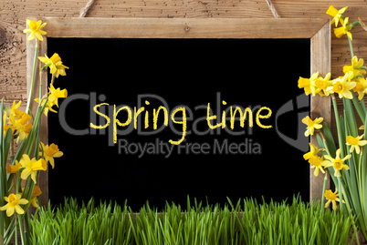 Flower Narcissus, Chalkboard, Text Springtime
