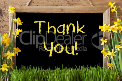 Spring Flower Narcissus, Chalkboard, Yellow Text Thank You