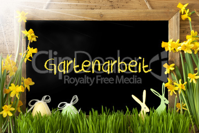Sunny Narcissus, Easter Egg, Bunny, Gartenarbeit Means Gardening