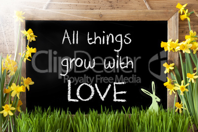 Sunny Narcissus, Easter Bunny, Quote All Things Grow With Love