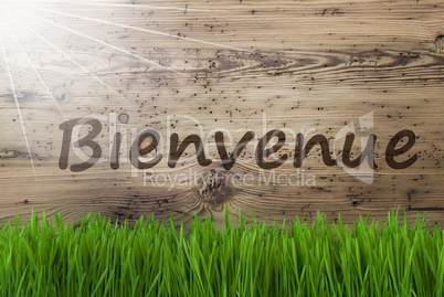 Sunny Wooden Background, Gras, Bienvenue Means Welcome