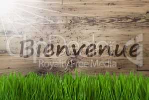 Sunny Wooden Background, Gras, Bienvenue Means Welcome