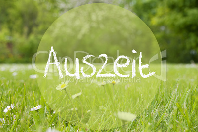 Gras Meadow, Daisy Flowers, Auszeit Means Downtime