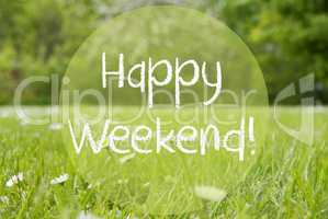 Gras Meadow, Daisy Flowers, Text Happy Weekend