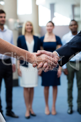 Business executives shaking hands with each other Business executives shaking hands with each other