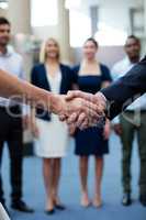 Business executives shaking hands with each other