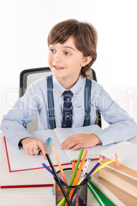 Schoolboy doing homework