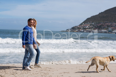 Mature couple walking on the beach with their dog