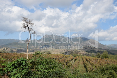 Landschaft bei Castiglione di Sicila