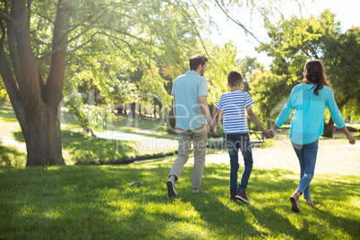 Rear view of family with hand in hand walking in park